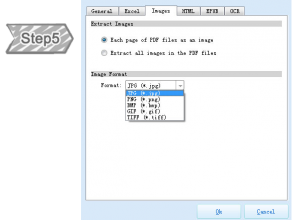 Select the formats of the output image